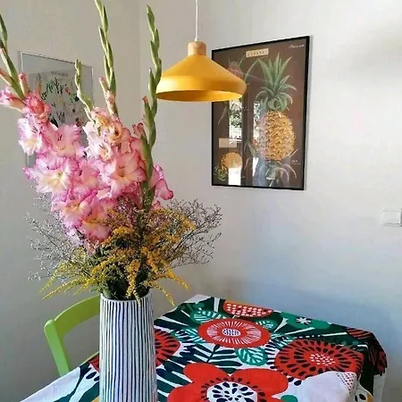 Meeblume 度假居 Rietschen