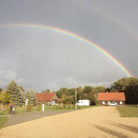 Meeblume * Rietschen