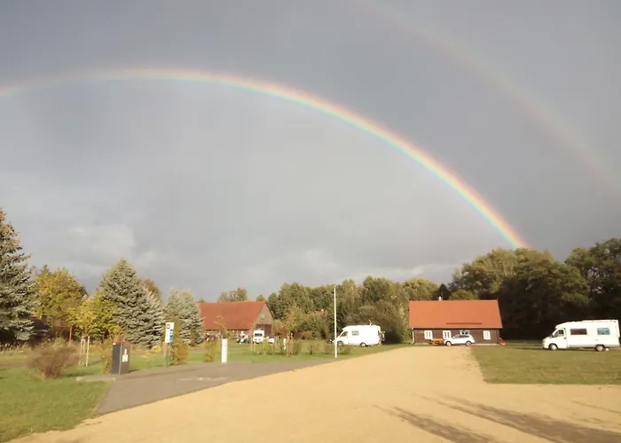 Meeblume * Rietschen